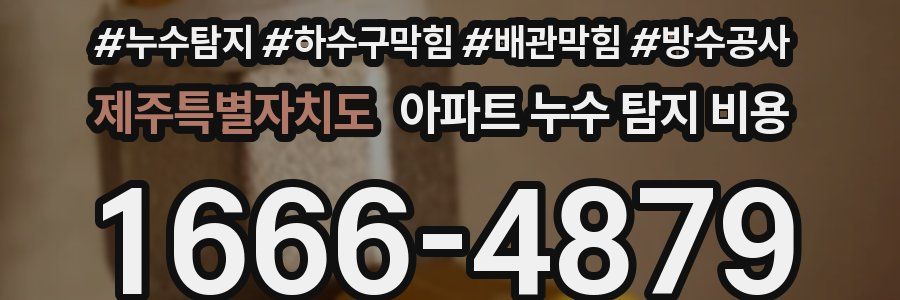 제주특별자치도 아파트 누수 탐지 비용