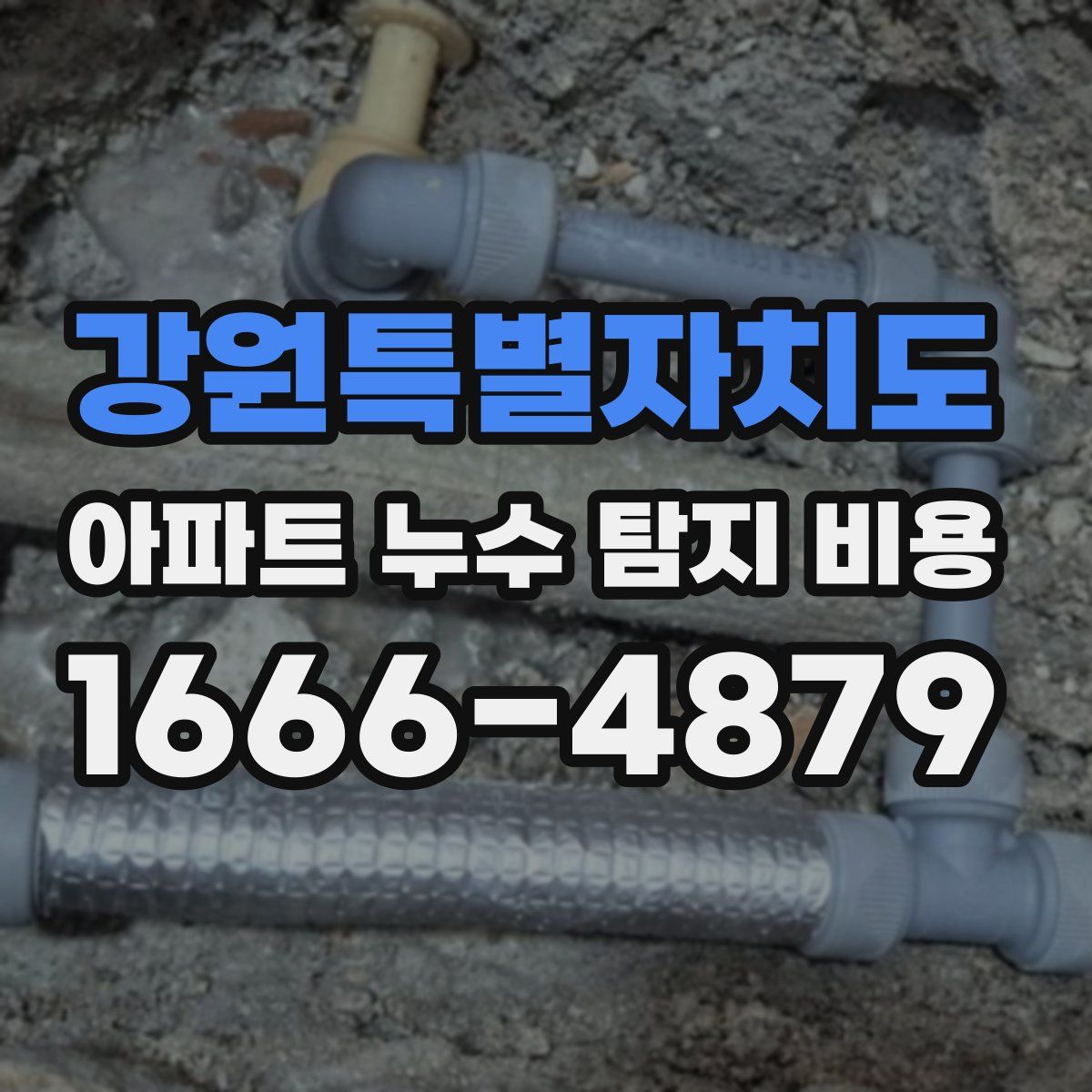 강원특별자치도 아파트 누수 탐지 비용