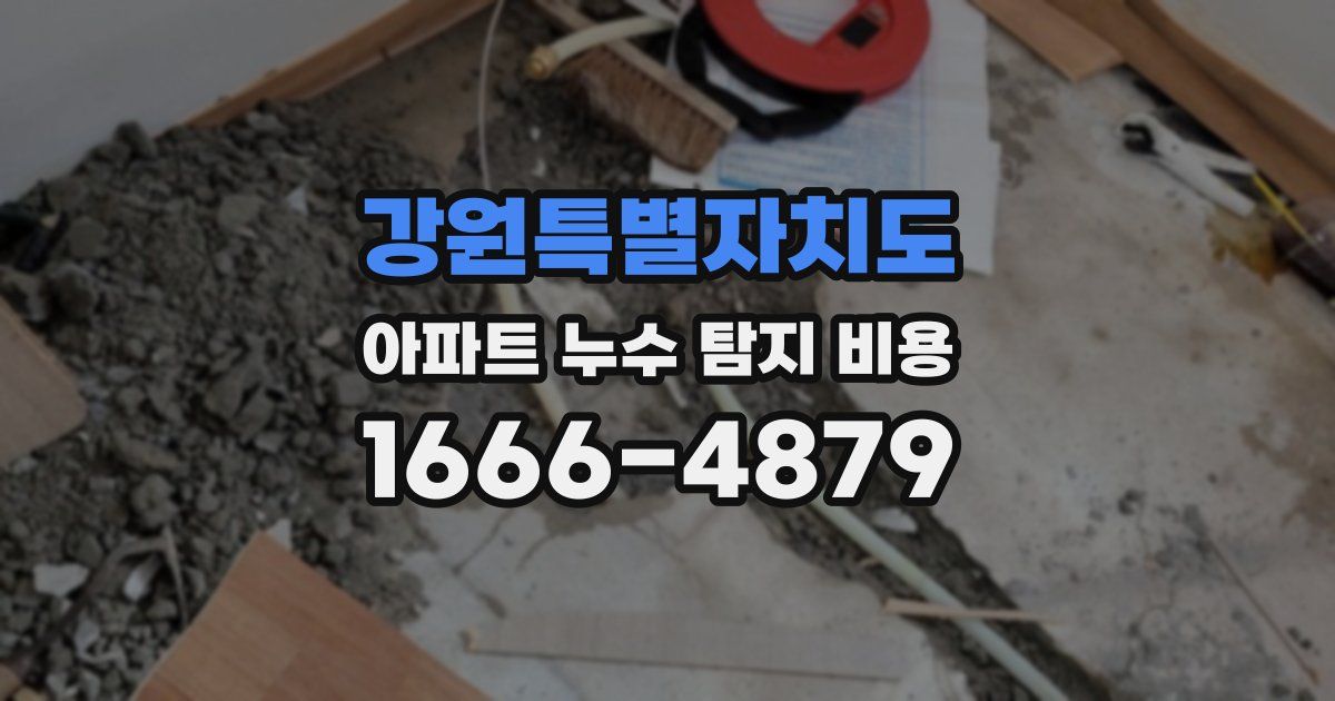강원특별자치도 아파트 누수 탐지 비용