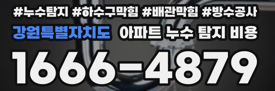 강원특별자치도 아파트 누수 탐지 비용