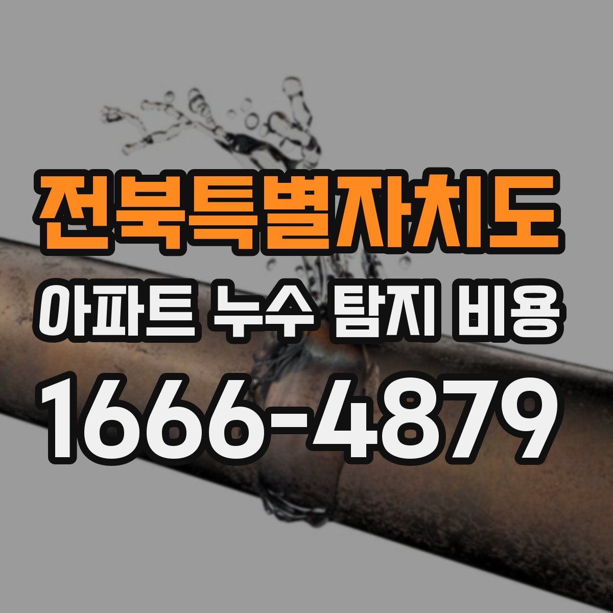 전북특별자치도 아파트 누수 탐지 비용