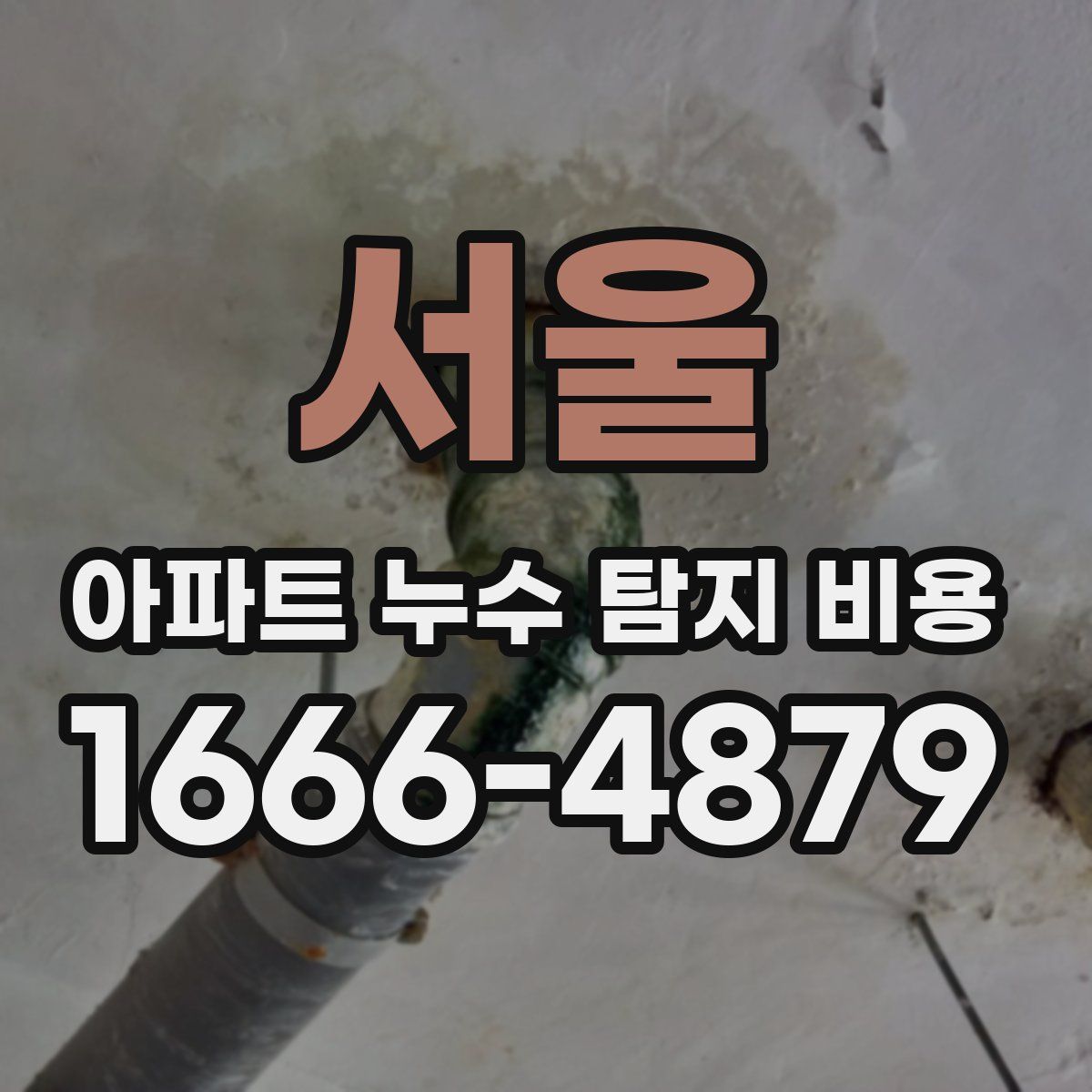 서울 아파트 누수 탐지 비용
