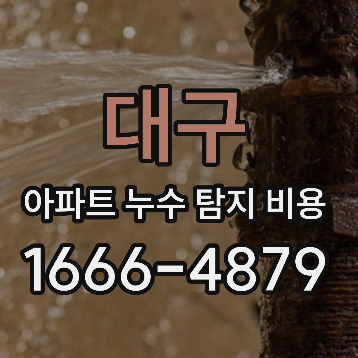대구 아파트 누수 탐지 비용