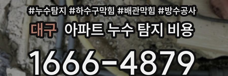 대구 아파트 누수 탐지 비용