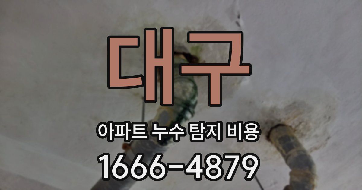 대구 아파트 누수 탐지 비용