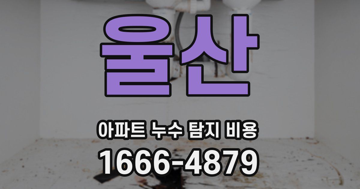 울산 아파트 누수 탐지 비용