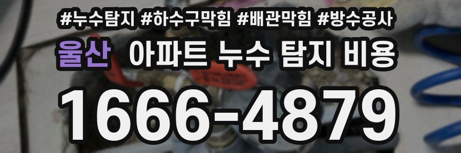 울산 아파트 누수 탐지 비용