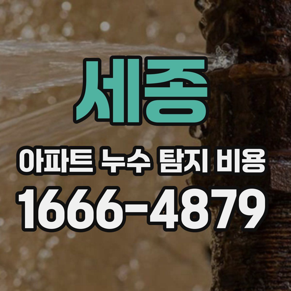 세종 아파트 누수 탐지 비용