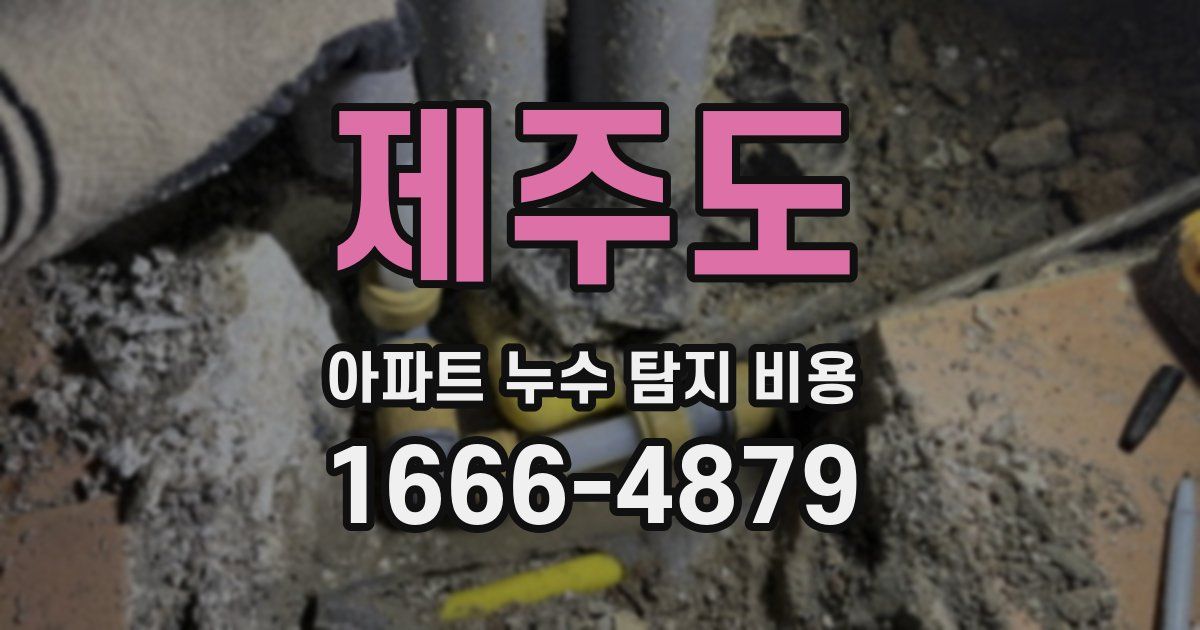 제주도 아파트 누수 탐지 비용