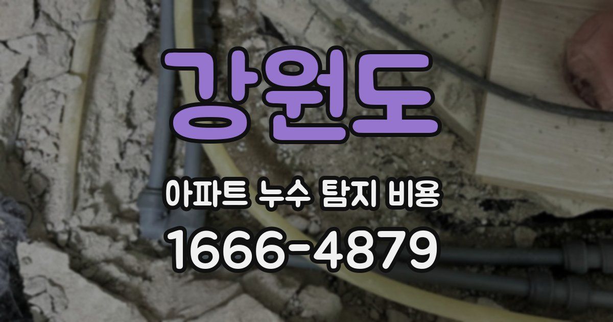 강원도 아파트 누수 탐지 비용