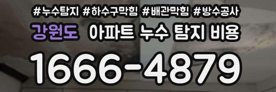 강원도 아파트 누수 탐지 비용