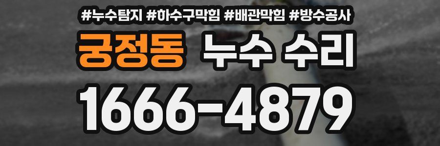 궁정동 누수 수리