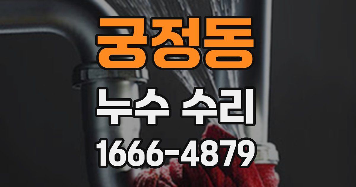 궁정동 누수 수리
