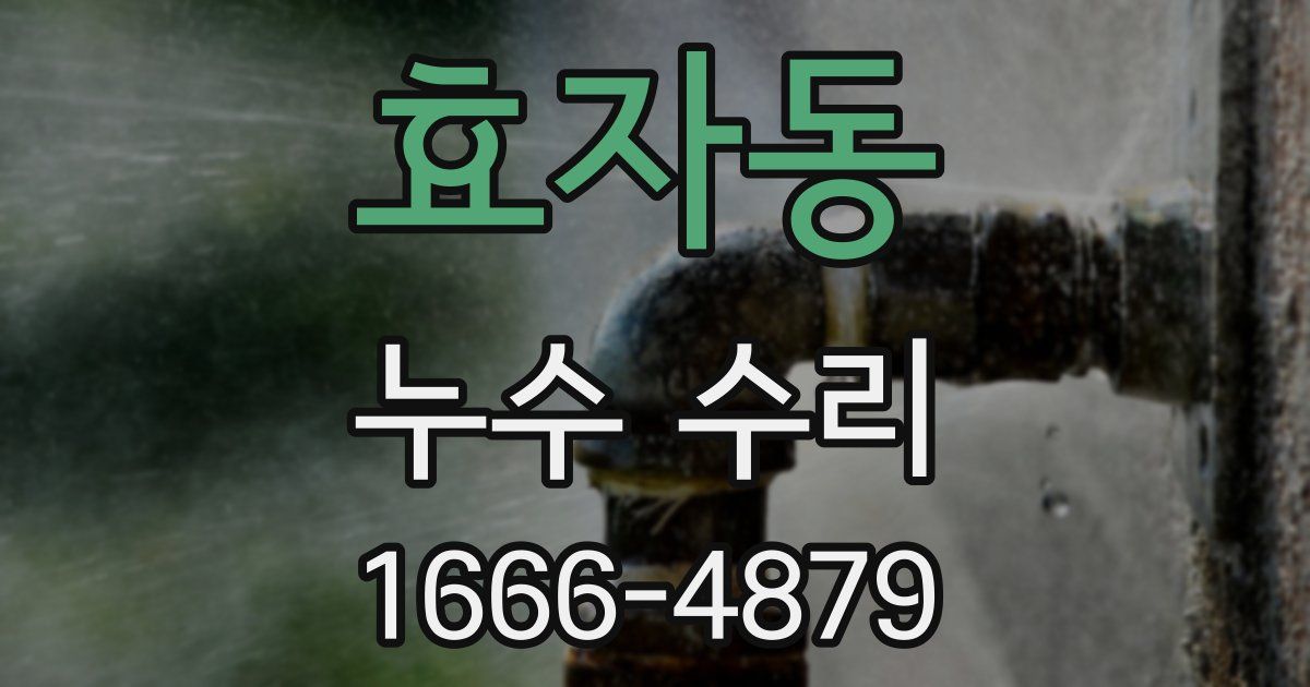 효자동 누수 수리