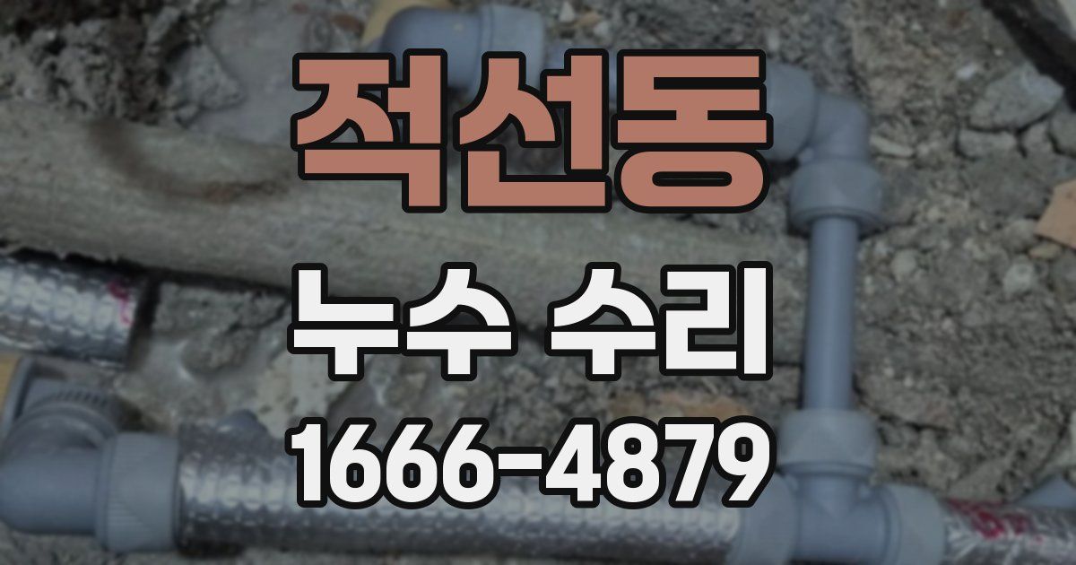적선동 누수 수리