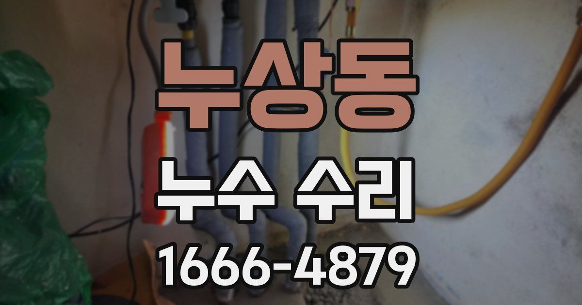 누상동 누수 수리