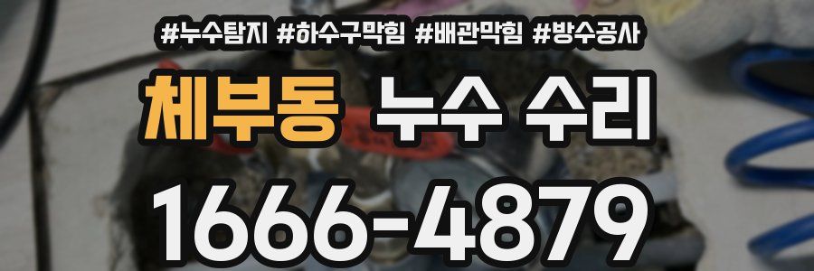 체부동 누수 수리