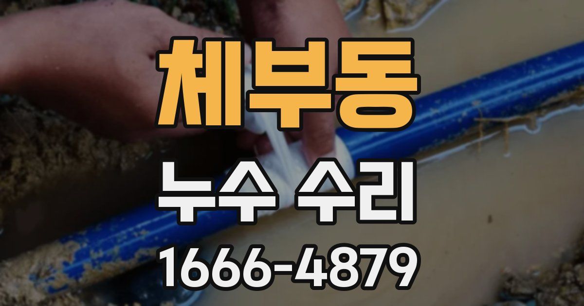 체부동 누수 수리