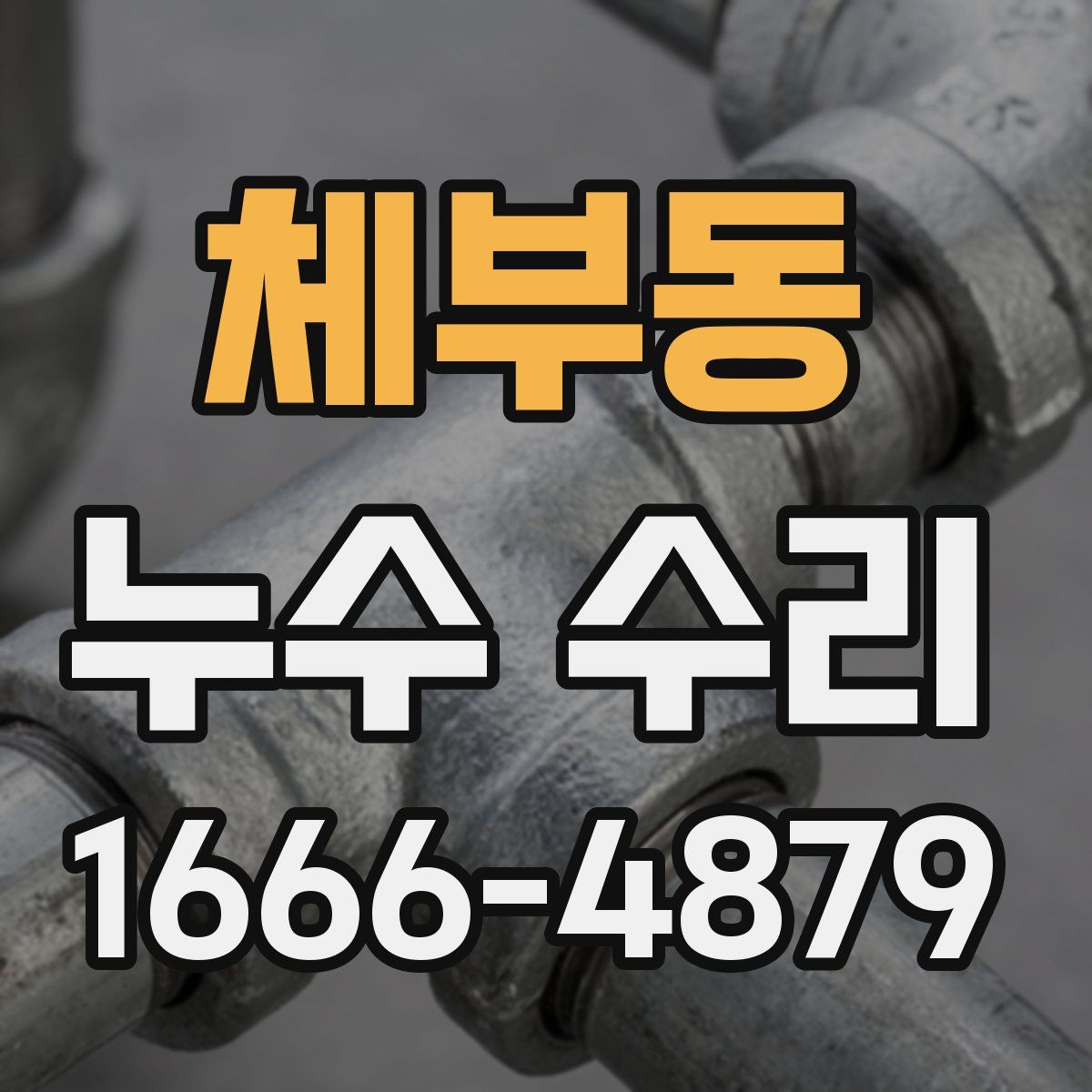 체부동 누수 수리