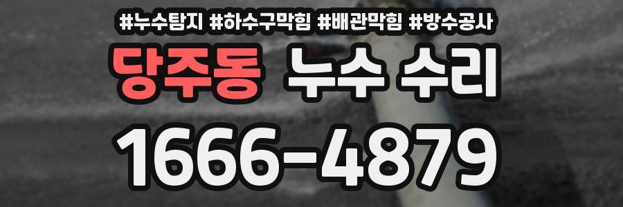 당주동 누수 수리