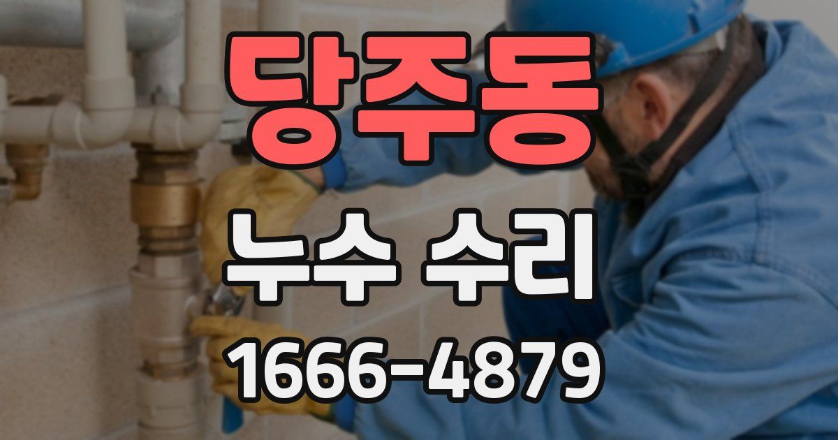 당주동 누수 수리