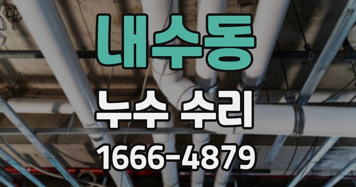 내수동 누수 수리
