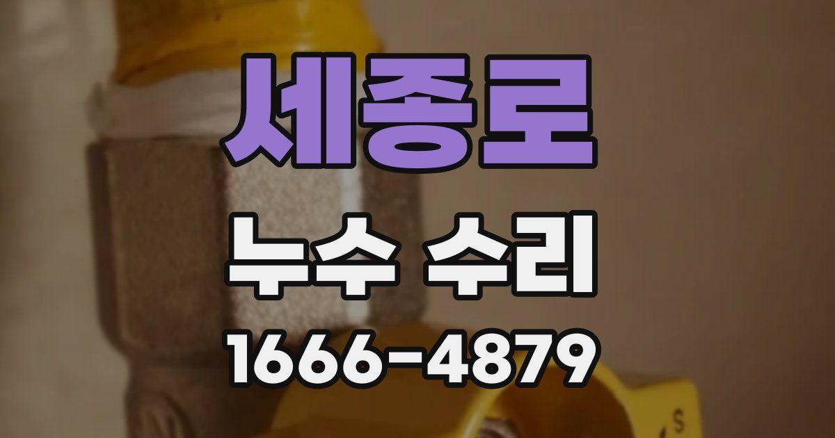 세종로 누수 수리