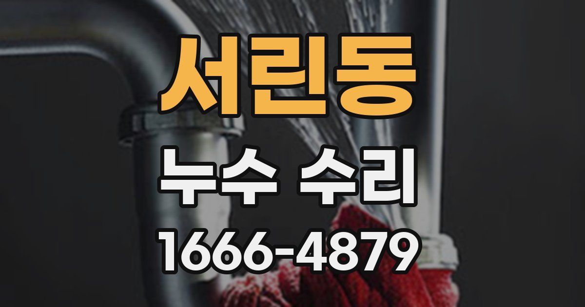 서린동 누수 수리