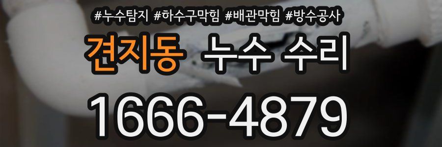 견지동 누수 수리