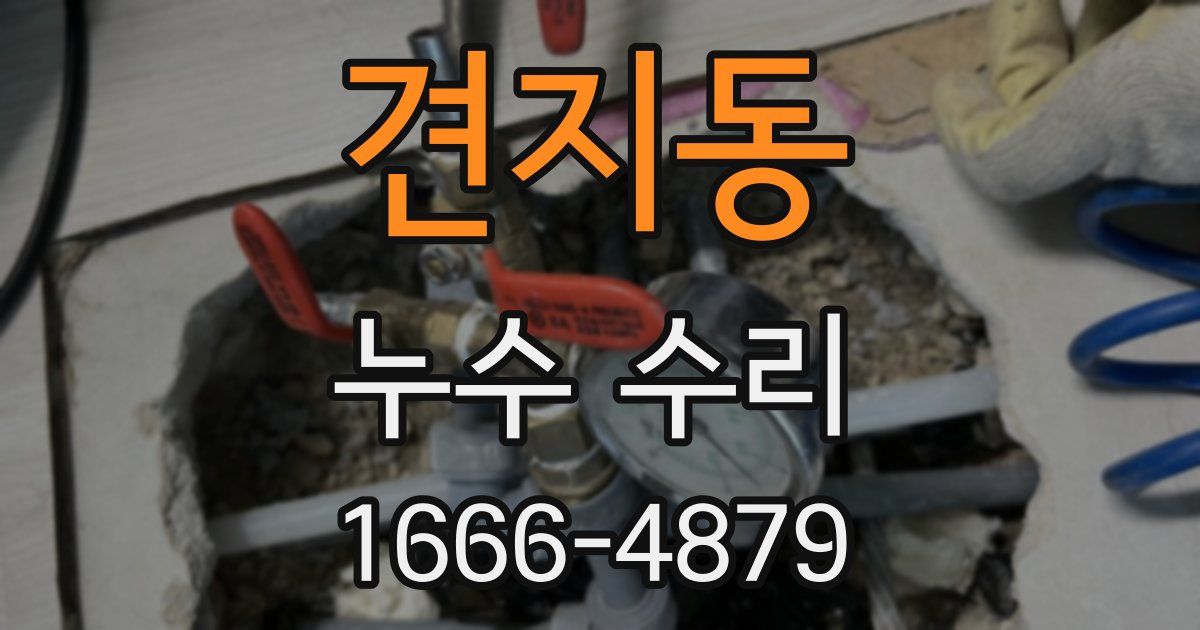견지동 누수 수리
