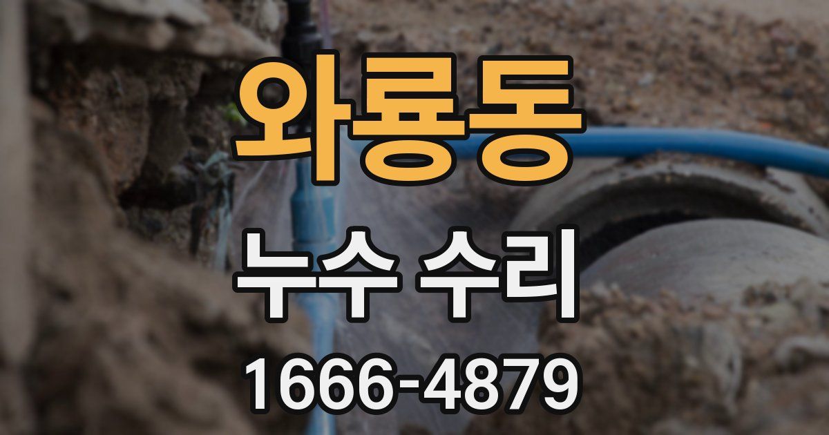 와룡동 누수 수리