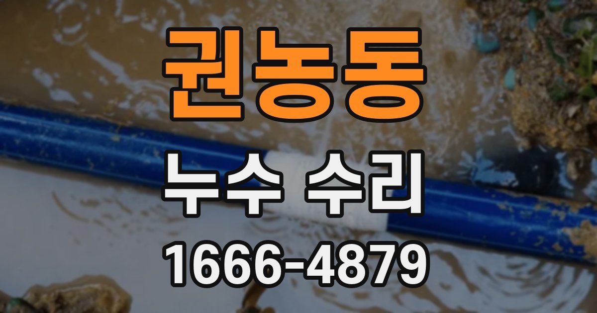 권농동 누수 수리