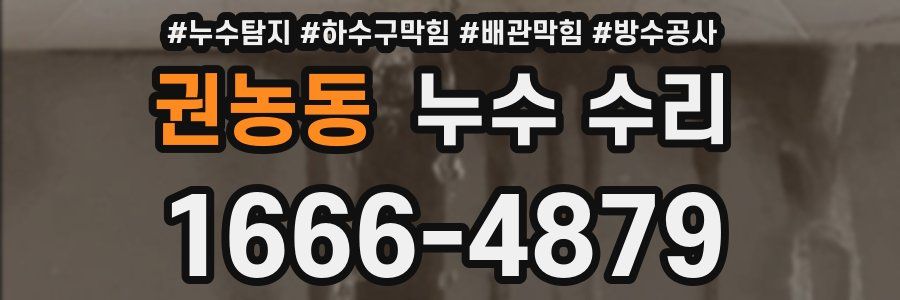권농동 누수 수리