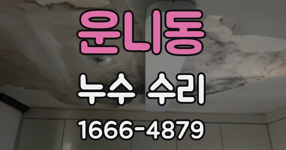 운니동 누수 수리