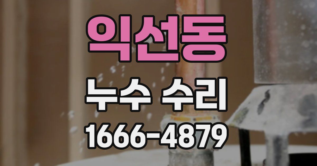 익선동 누수 수리