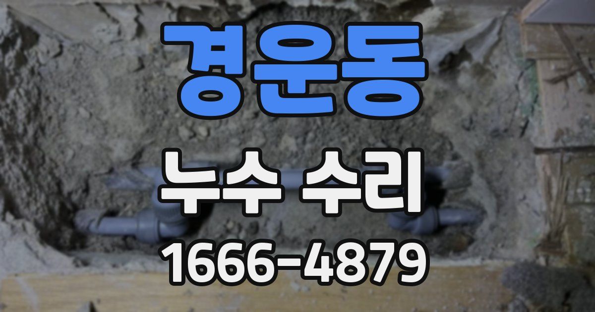 경운동 누수 수리