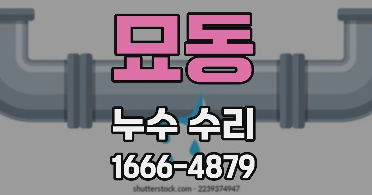 묘동 누수 수리
