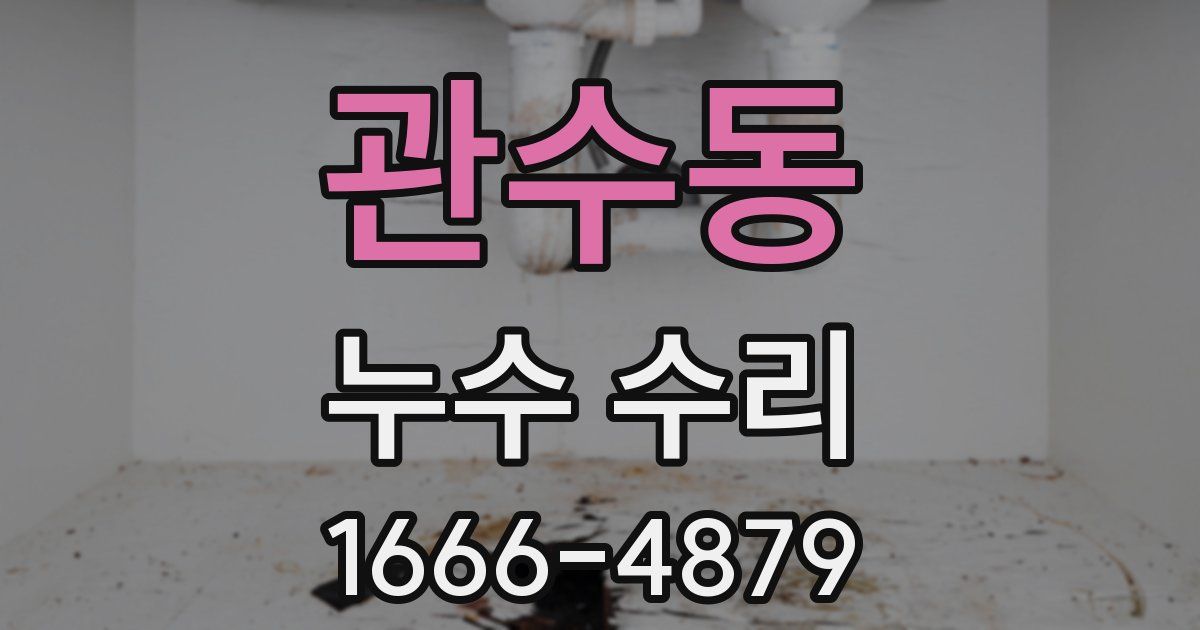 관수동 누수 수리