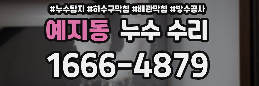 예지동 누수 수리