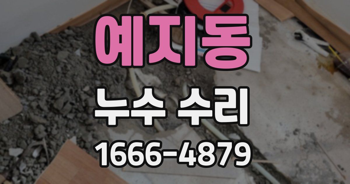 예지동 누수 수리