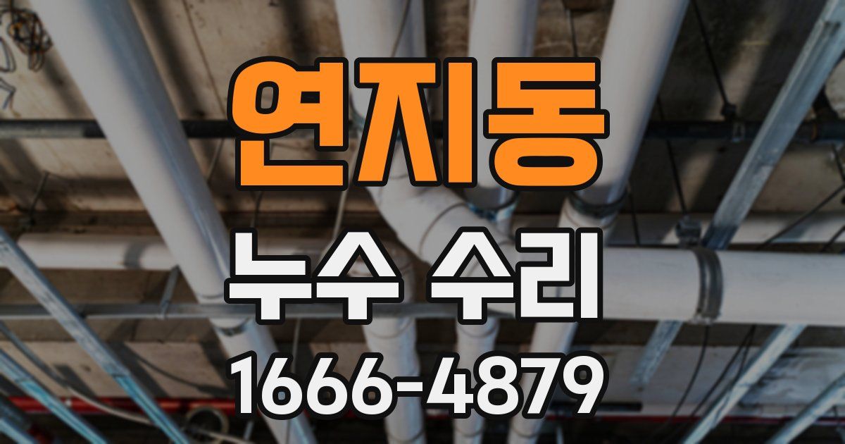 연지동 누수 수리