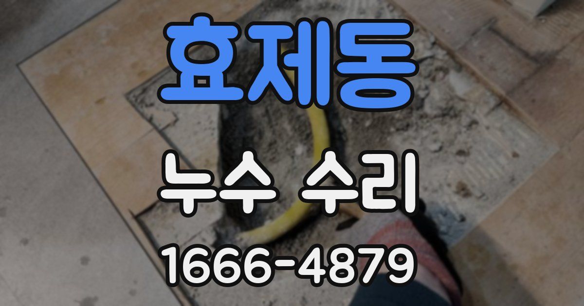 효제동 누수 수리