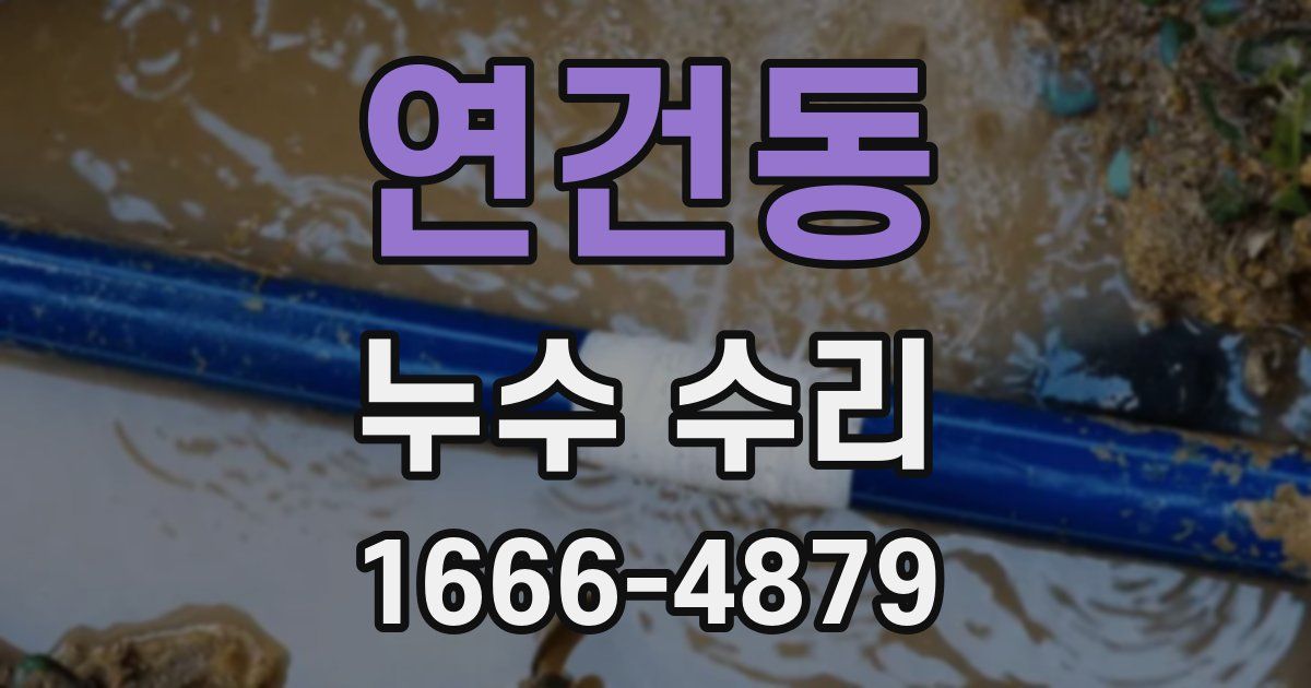 연건동 누수 수리