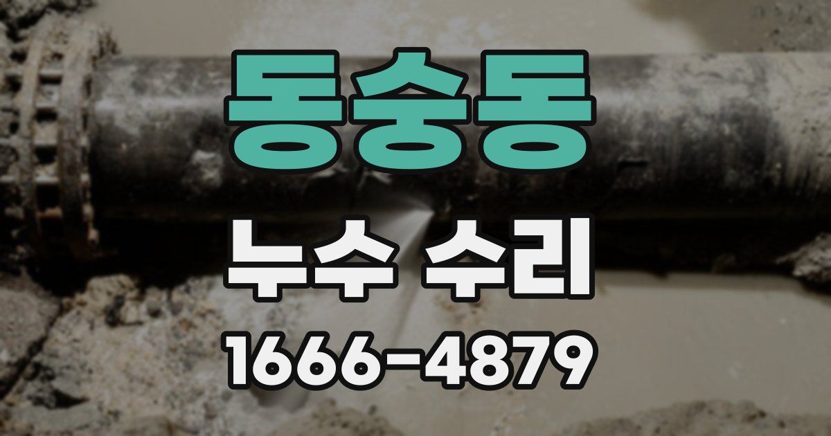 동숭동 누수 수리