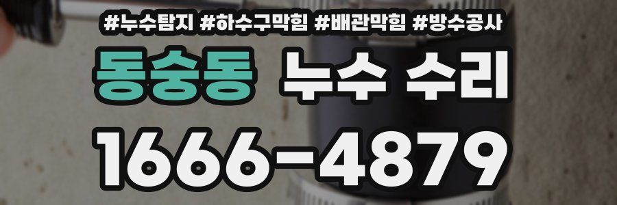 동숭동 누수 수리