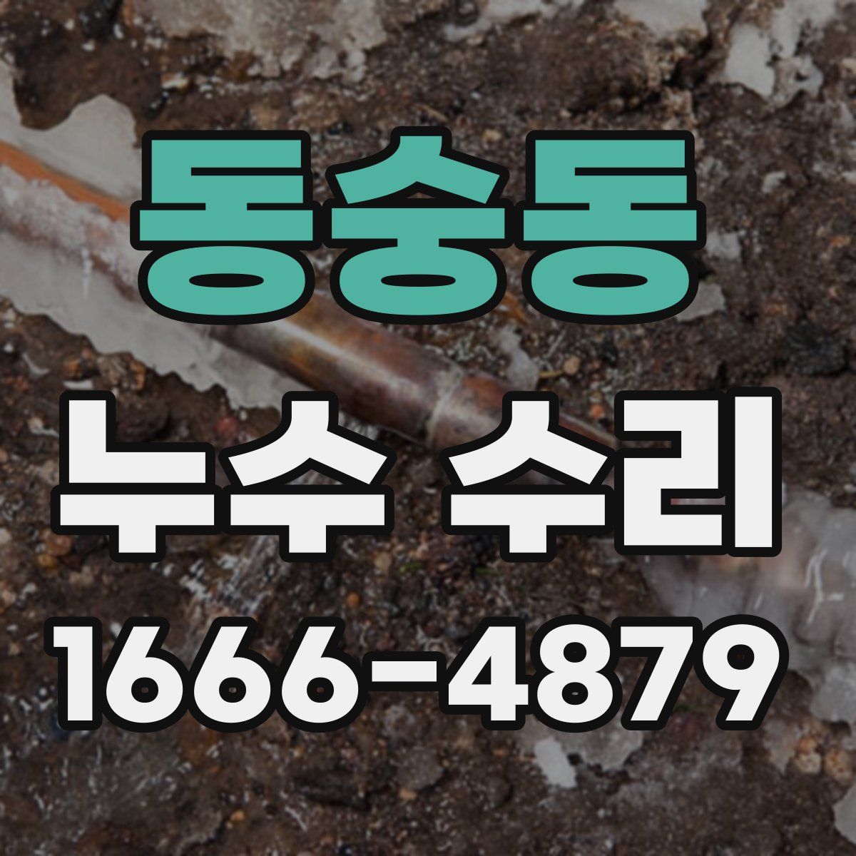 동숭동 누수 수리
