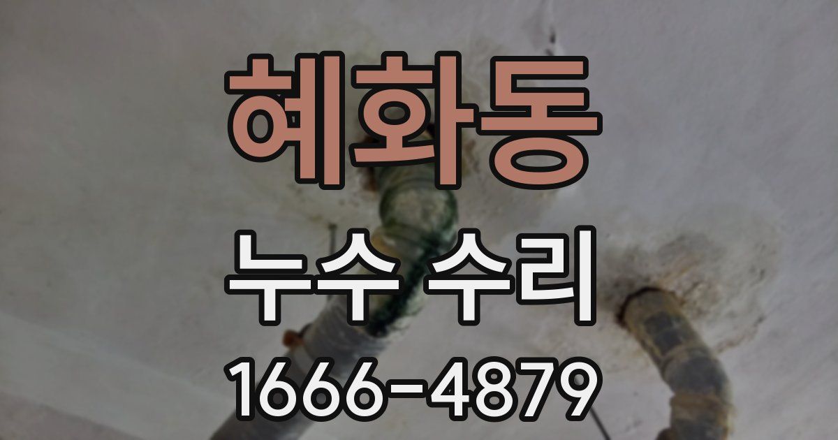 혜화동 누수 수리