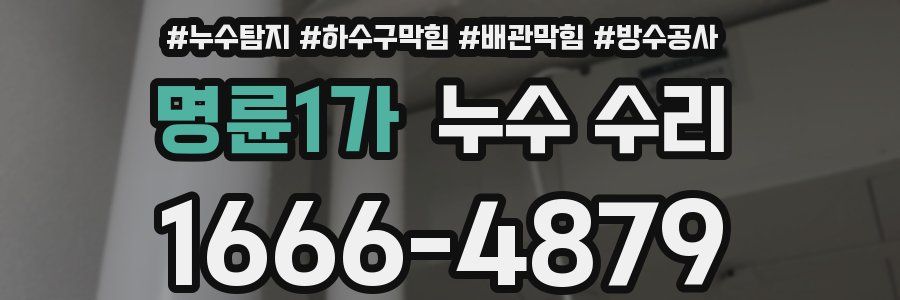 명륜1가 누수 수리