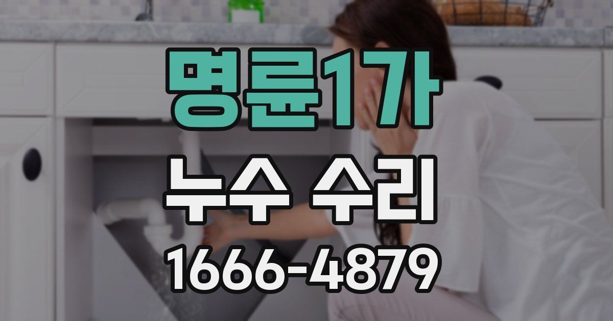 명륜1가 누수 수리
