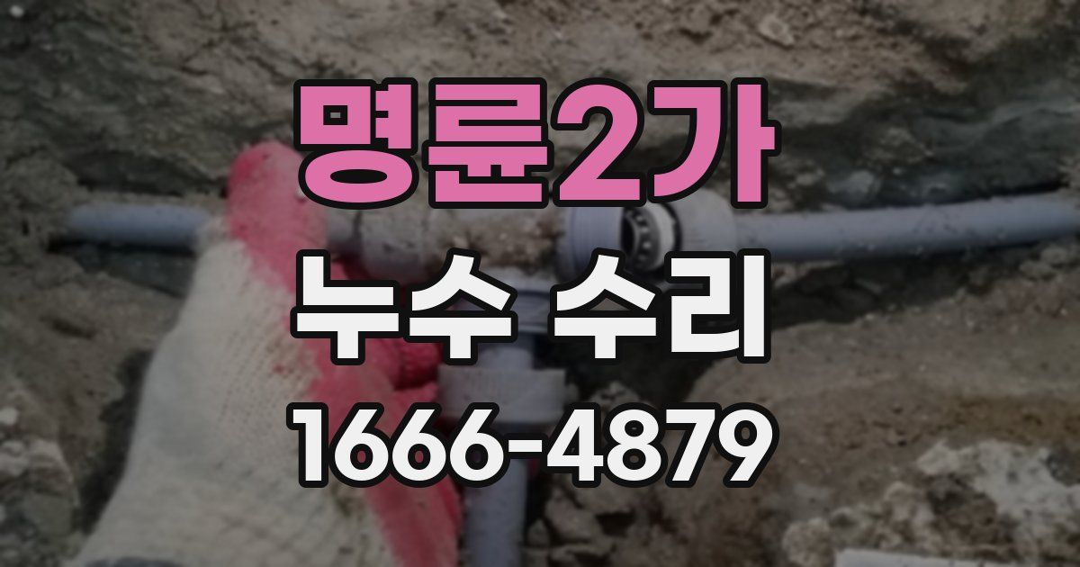 명륜2가 누수 수리